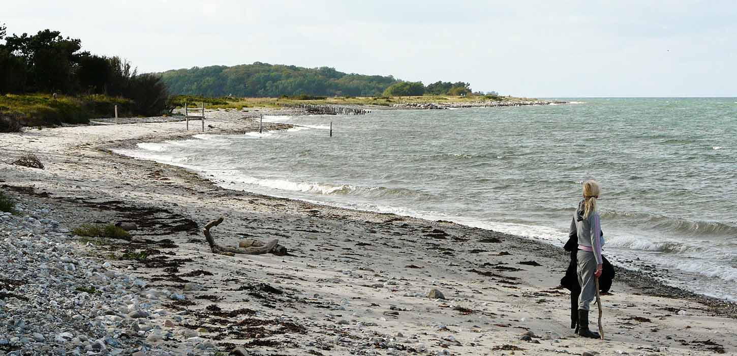 Enebærodde og udsigt til havet