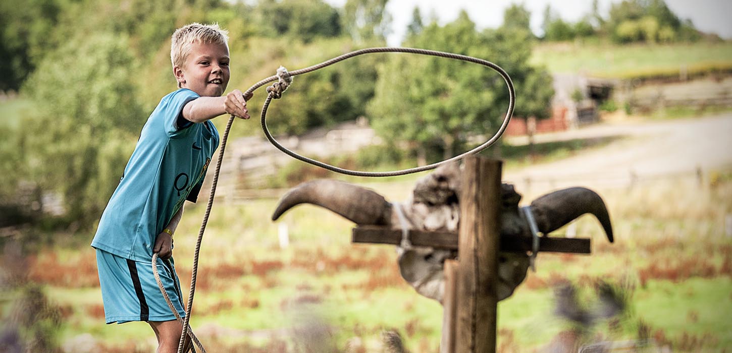 Ditlevsdal Bison Farm lassokast