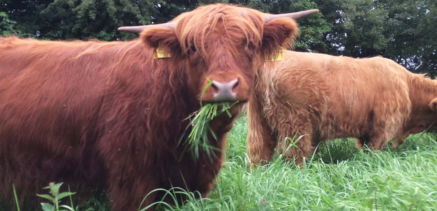 Gårdbutikker på Nordfyn
