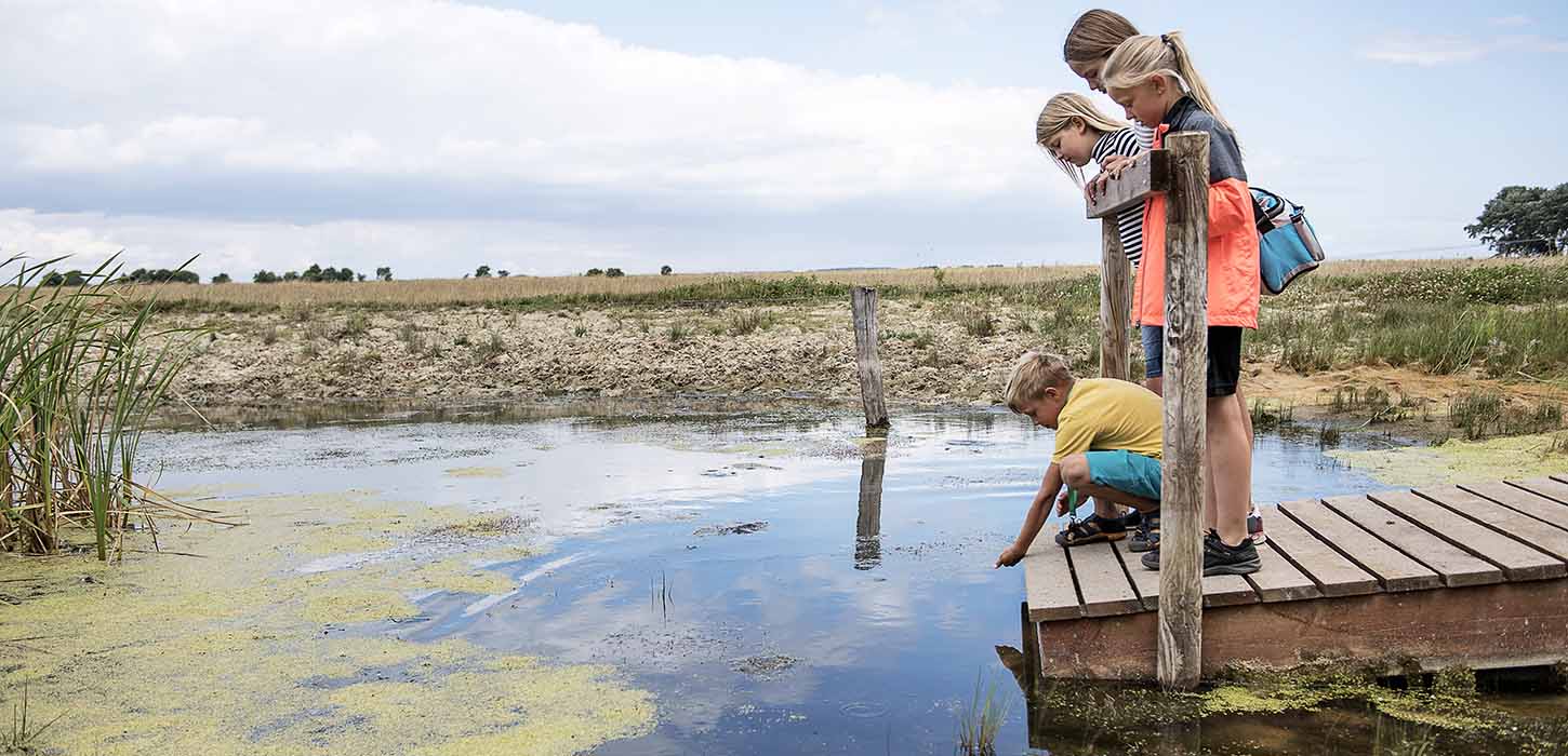 Børn leger ved Gyldensteen Strand