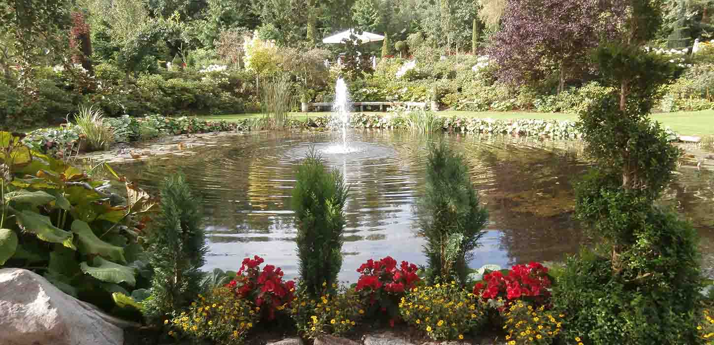 Se springvandet i Kongsdal Åben Have