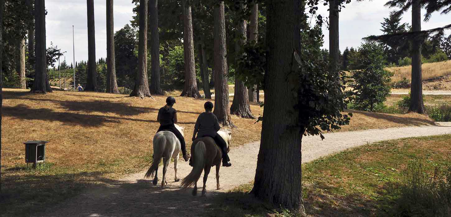 Ridning i Langesøskoven