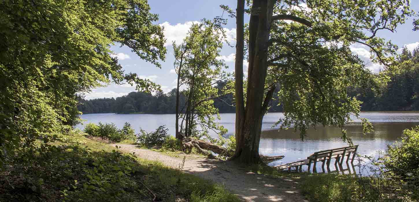 Langesø ved skovsti og sø i baggrunden