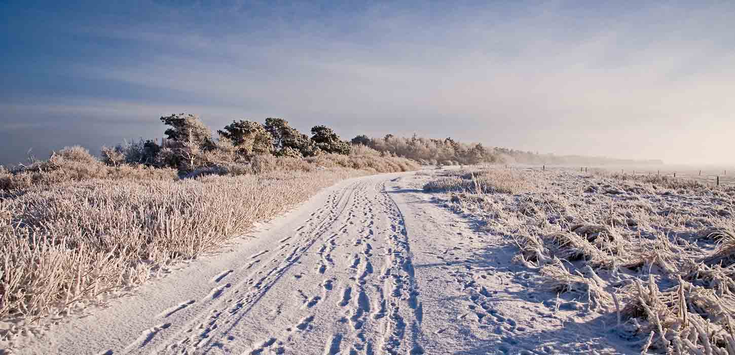 Spor i sneen på Enebærodde