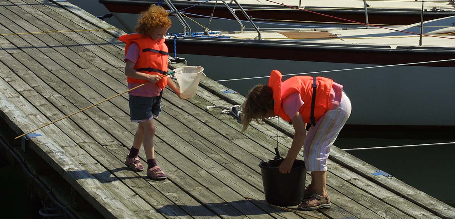 Fange krabber ved Bogense havn