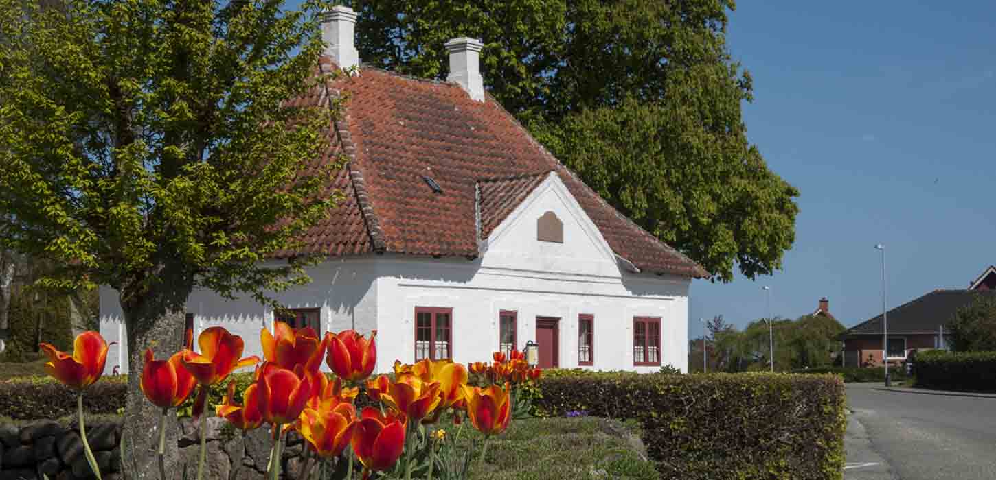 Otterup museum med tulipaner