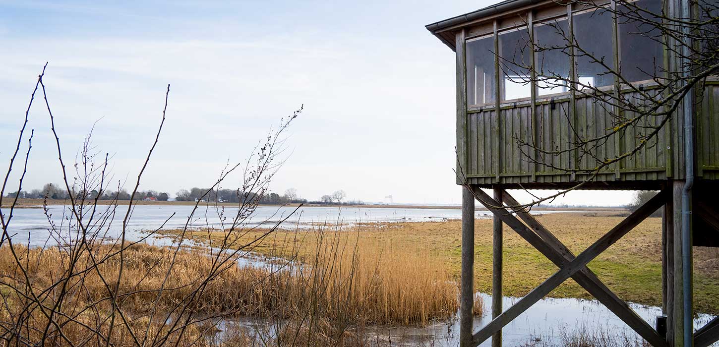 Udsigt over Ølundgård, Lammesø og Odense Fjord ved fugletårnet