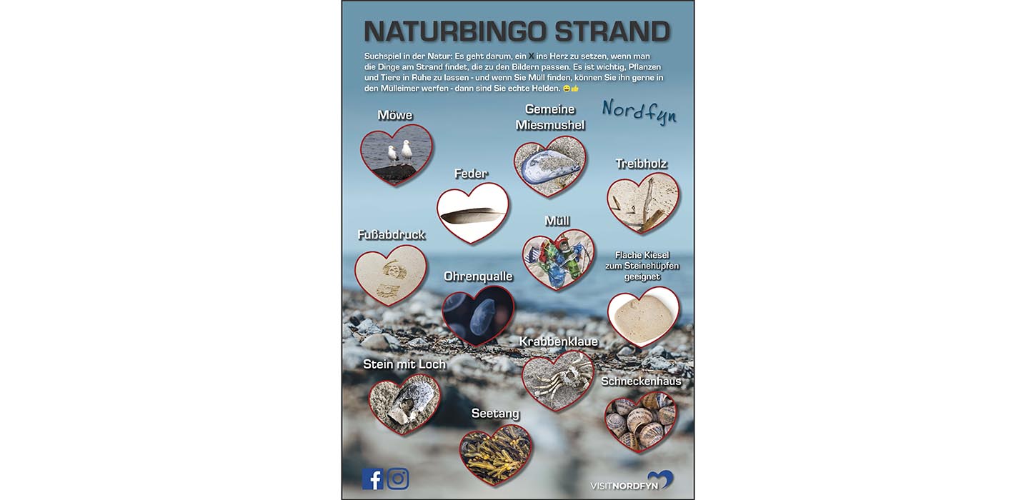 Naturbingo am Strand