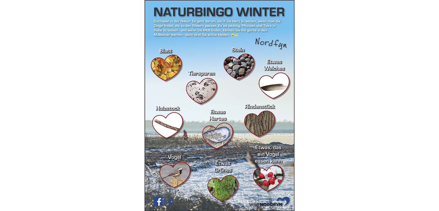 Naturbingo Winter