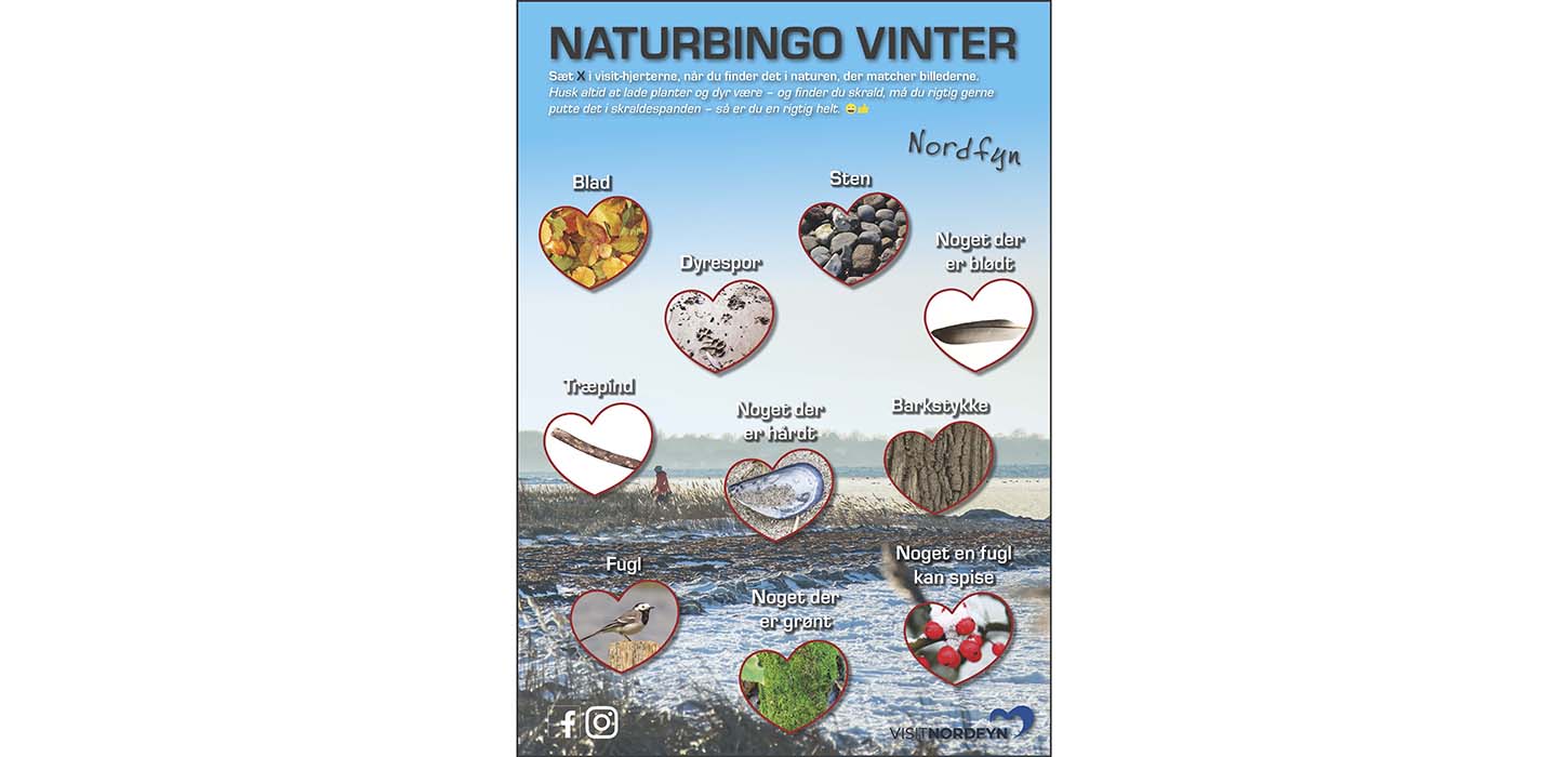 Naturbingo Vinter