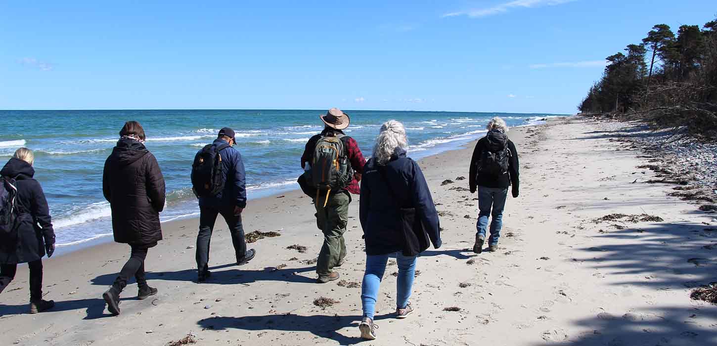Guidede ture på Flyvesandet