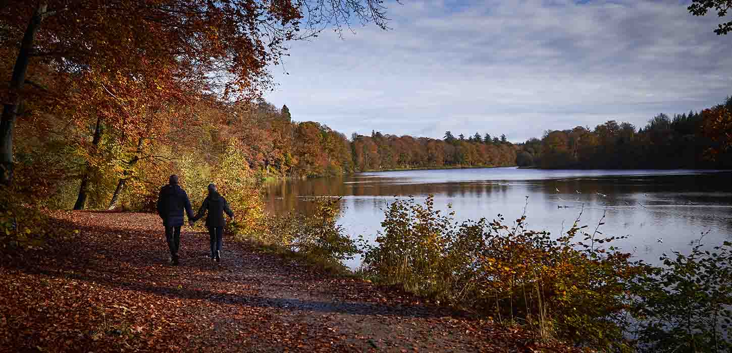 Efterår og gåtur ved Langesø
