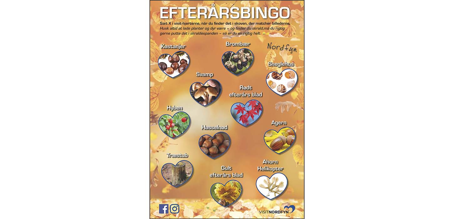 Naturbingo efterår - skattejagt i naturen