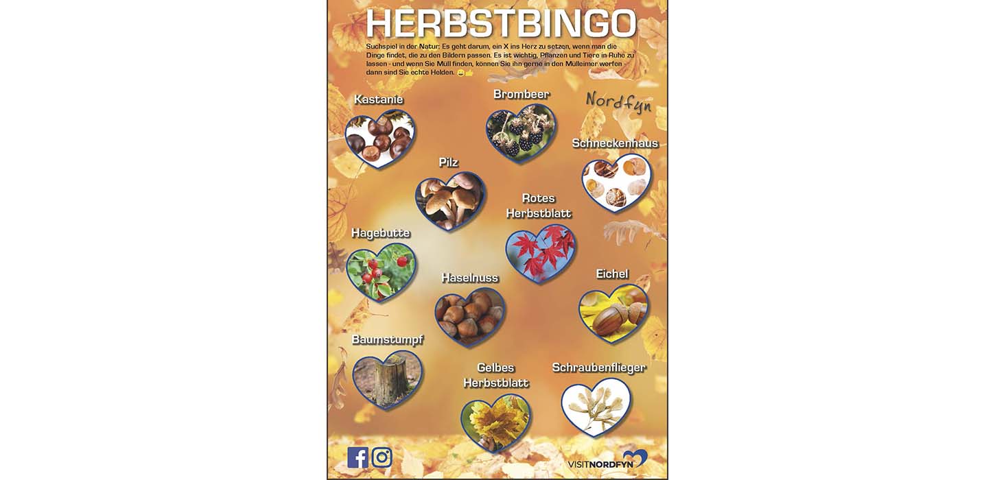 Herbstbingo - Suchspiel in der Natur im Herbst