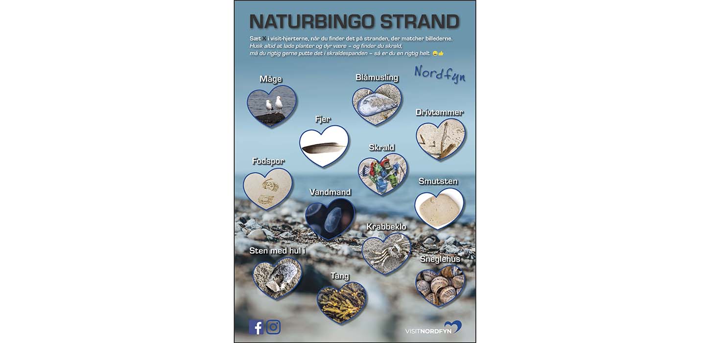 Strandbingo - skattejagt i naturen med bingoplade