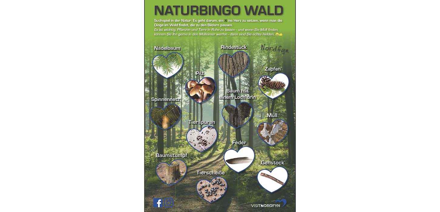 Waldbingo - Natursuchspiel im Wald