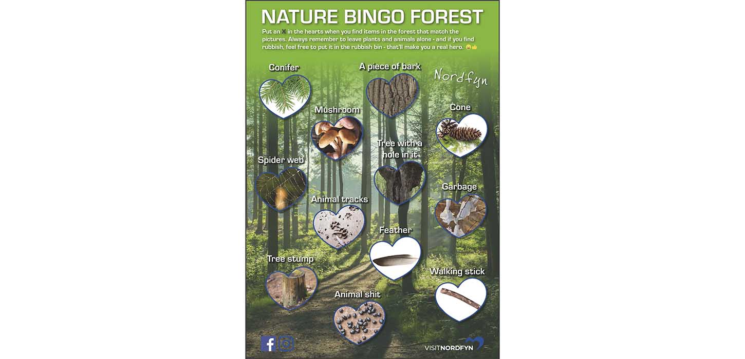 Illustration of the bingo card for the scavenger hunt in the woods