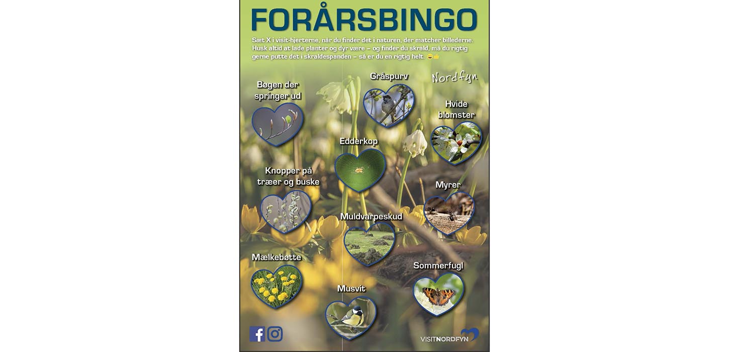 Prøv naturbingopladen i Nordfyns forår!