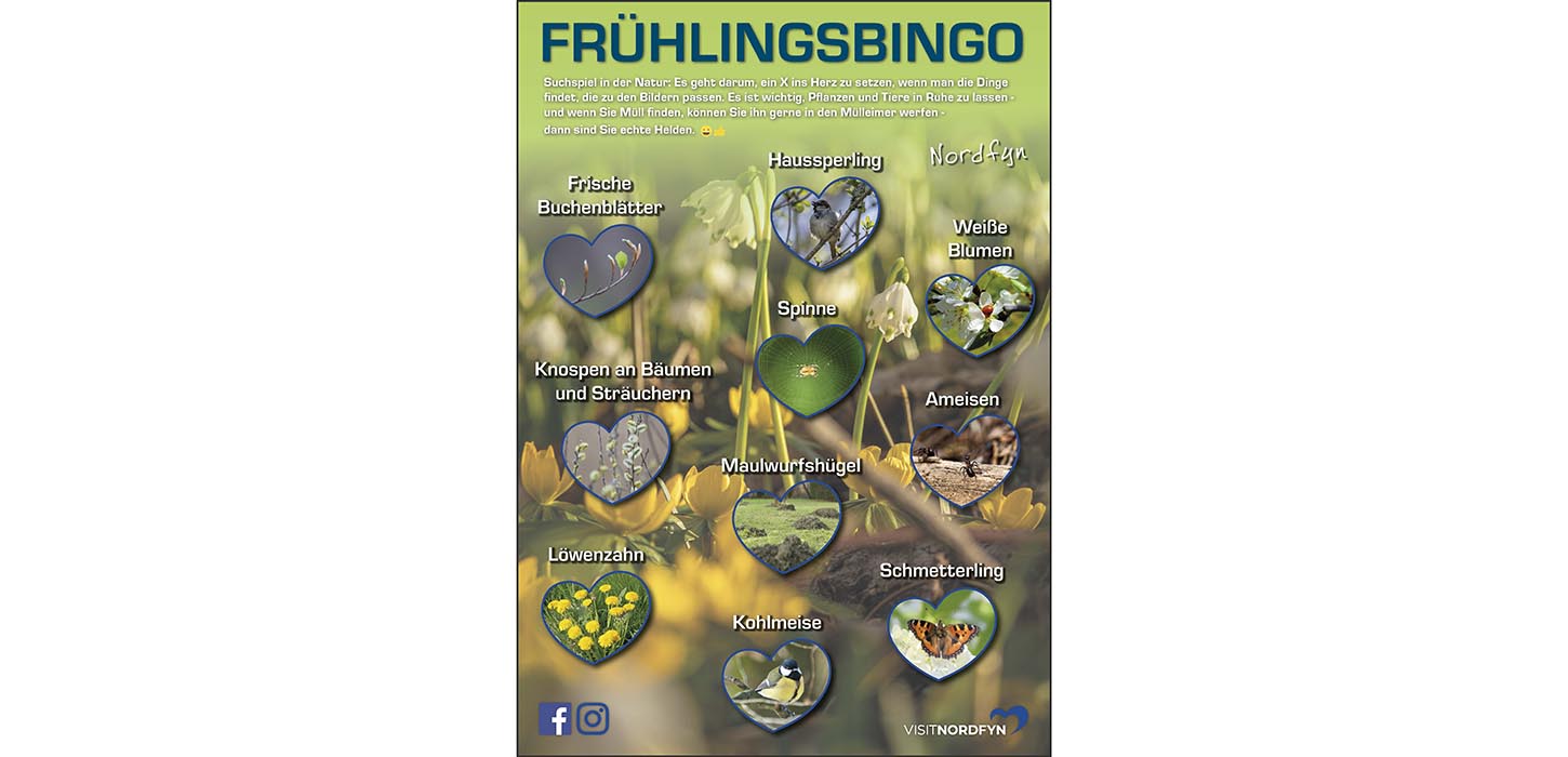Naturbingo in der nordfünischen Natur im Frühling