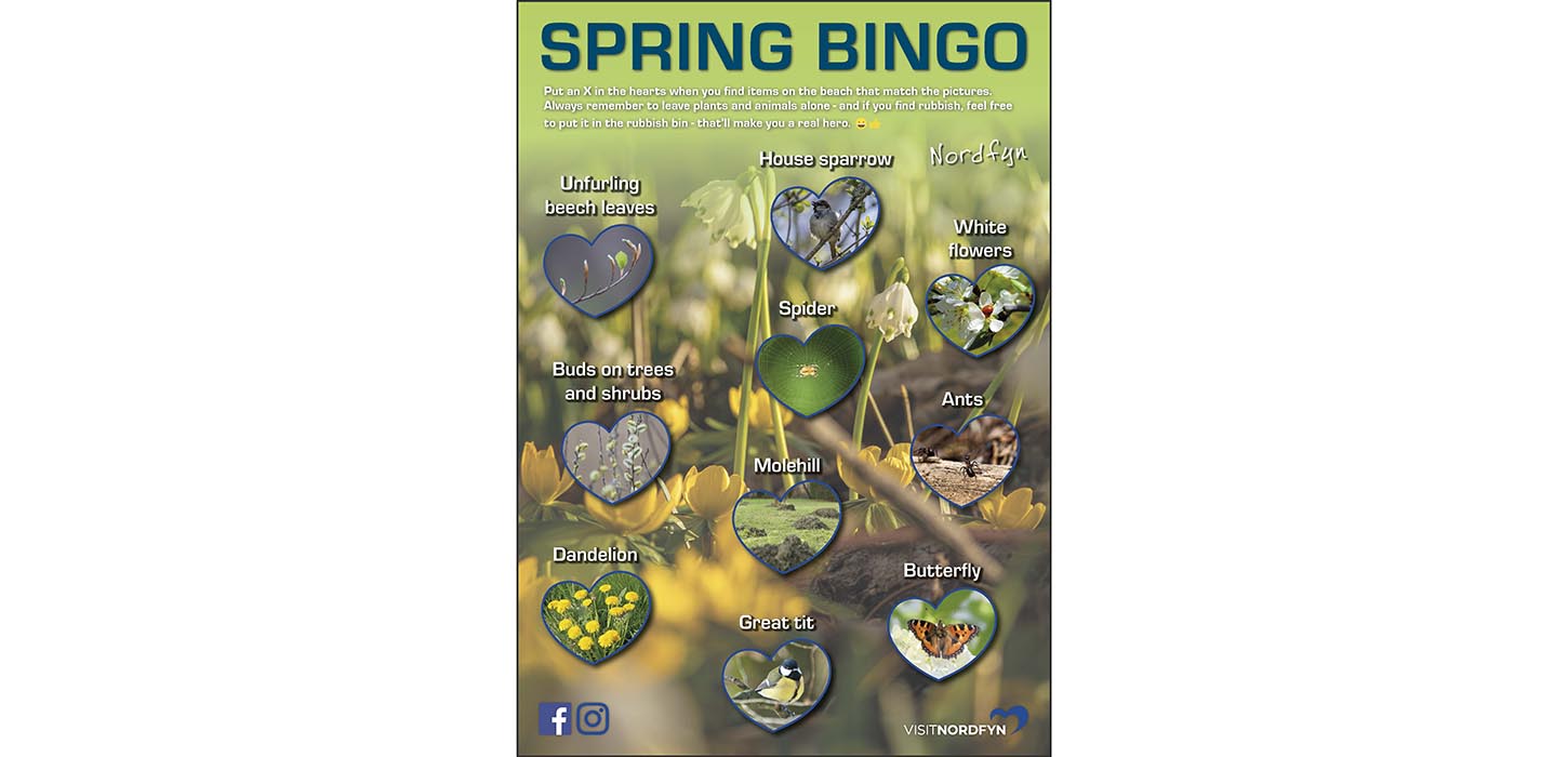 Nature bingo card in Spring