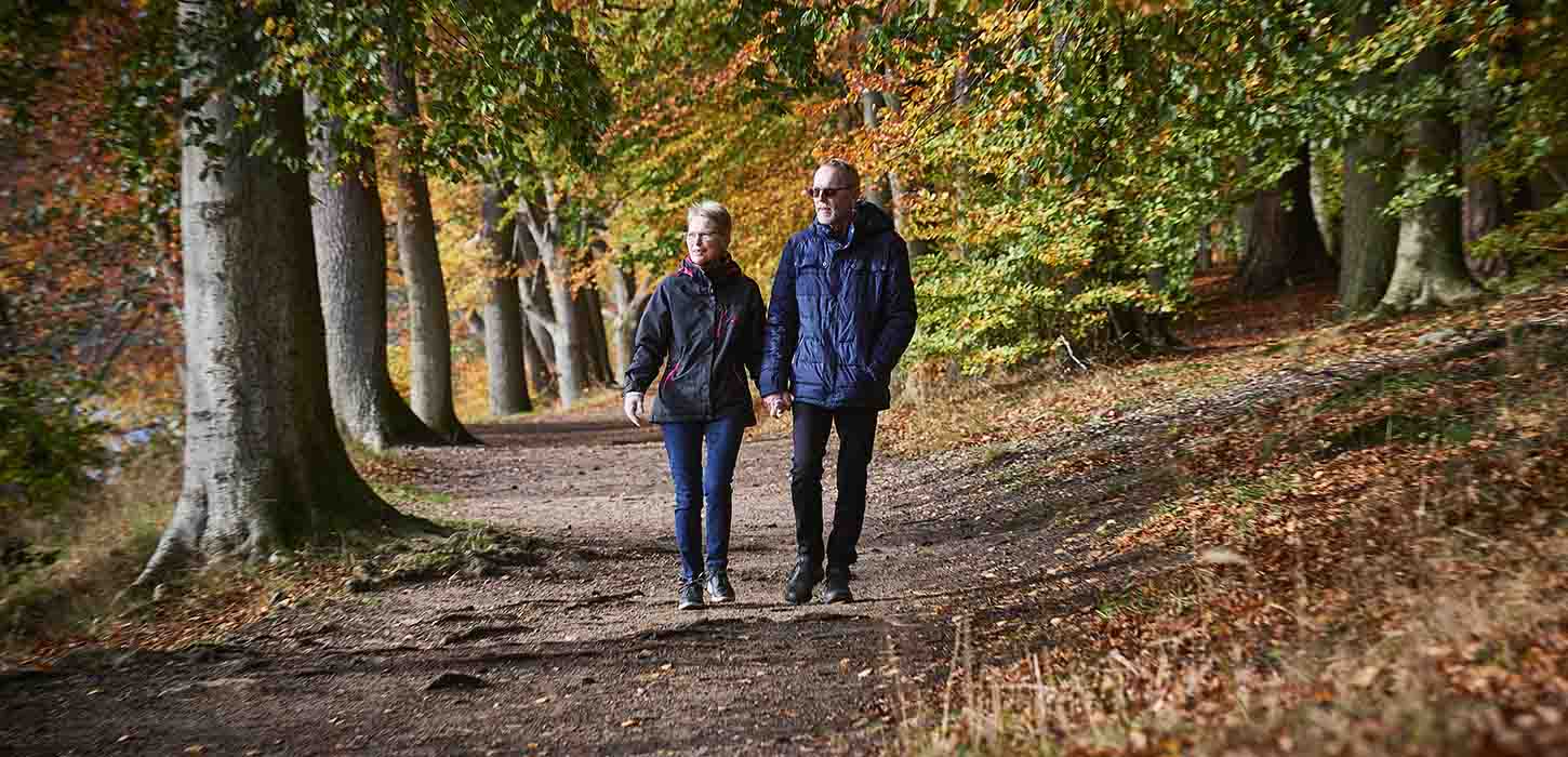 Ældre par går tur i Langesø-skoven i efteråret