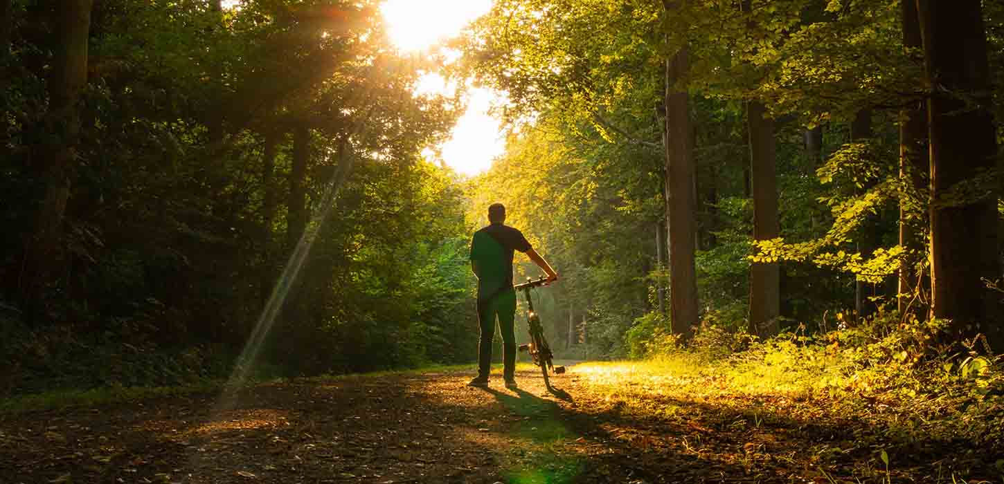 Cyklist står i solnedgangen ved en sti i skovene ved Skåstrup