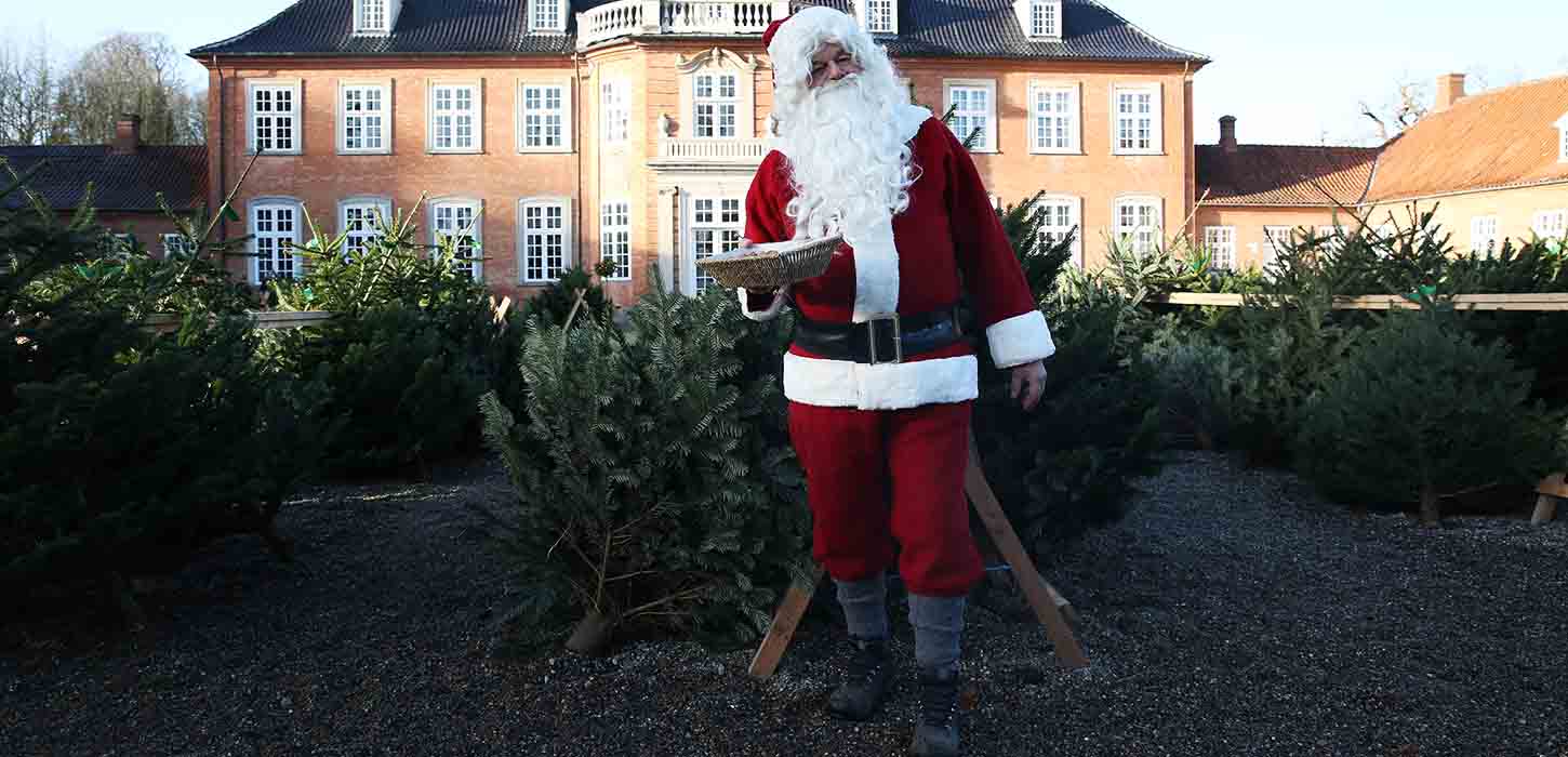Julemanden byder på pebernødder og juletræer foran Langesø Slot