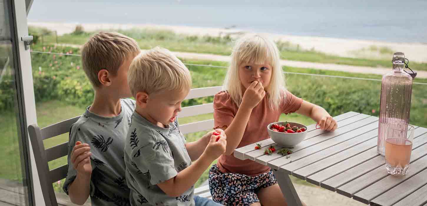 to små drenge og en lille pige spiser jordbær på altanen i et sommerhus