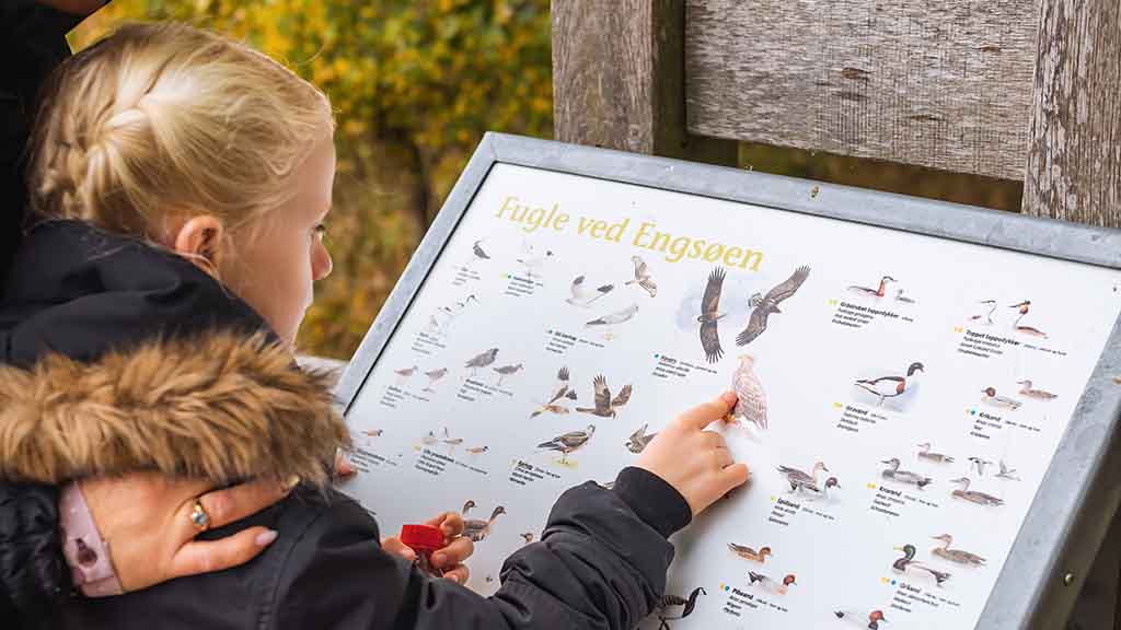 Efterårsferie på Gyldensteen Strand