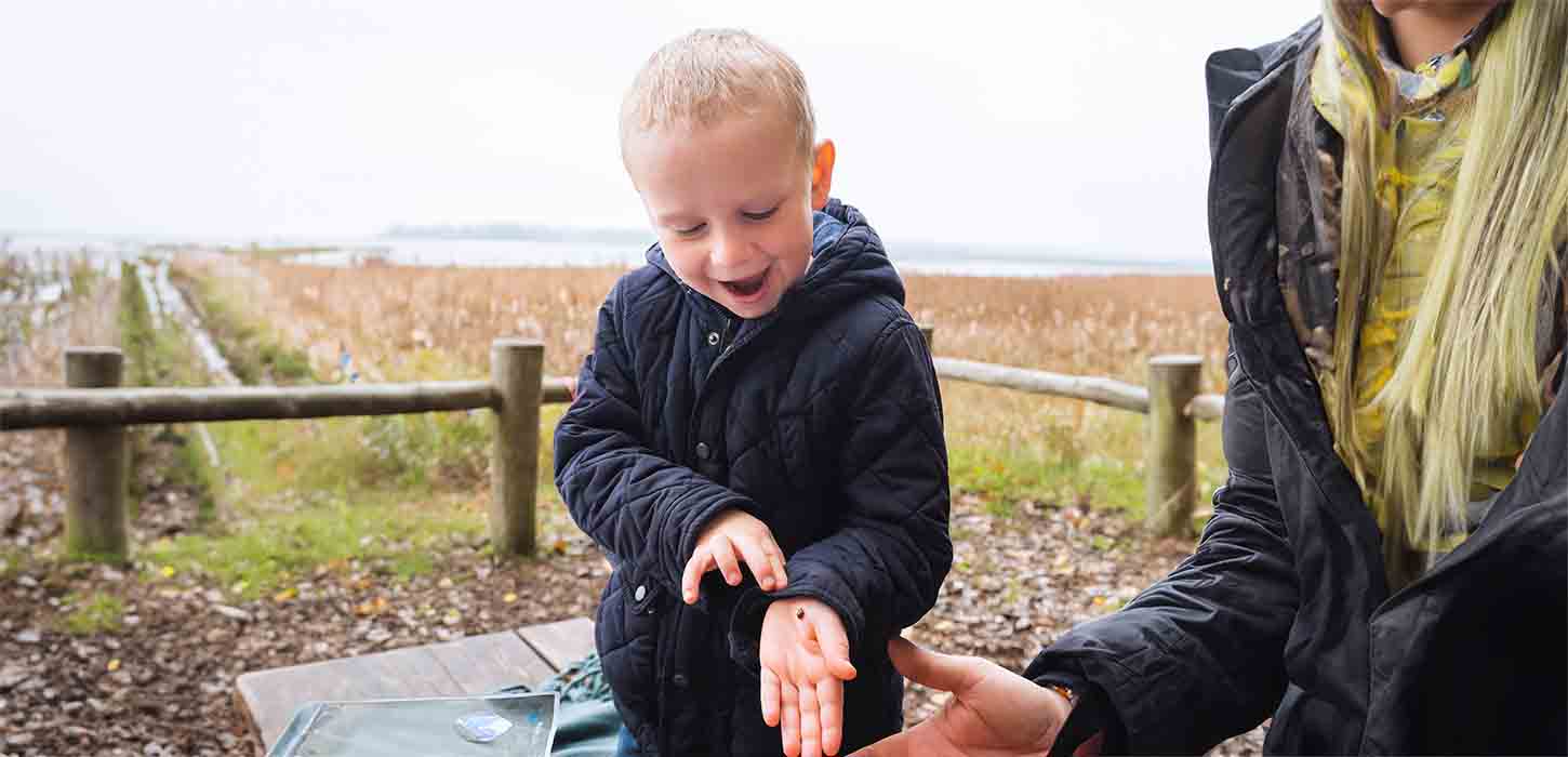 Dreng med mariehøne på Gyldensteen Strand om efteråret