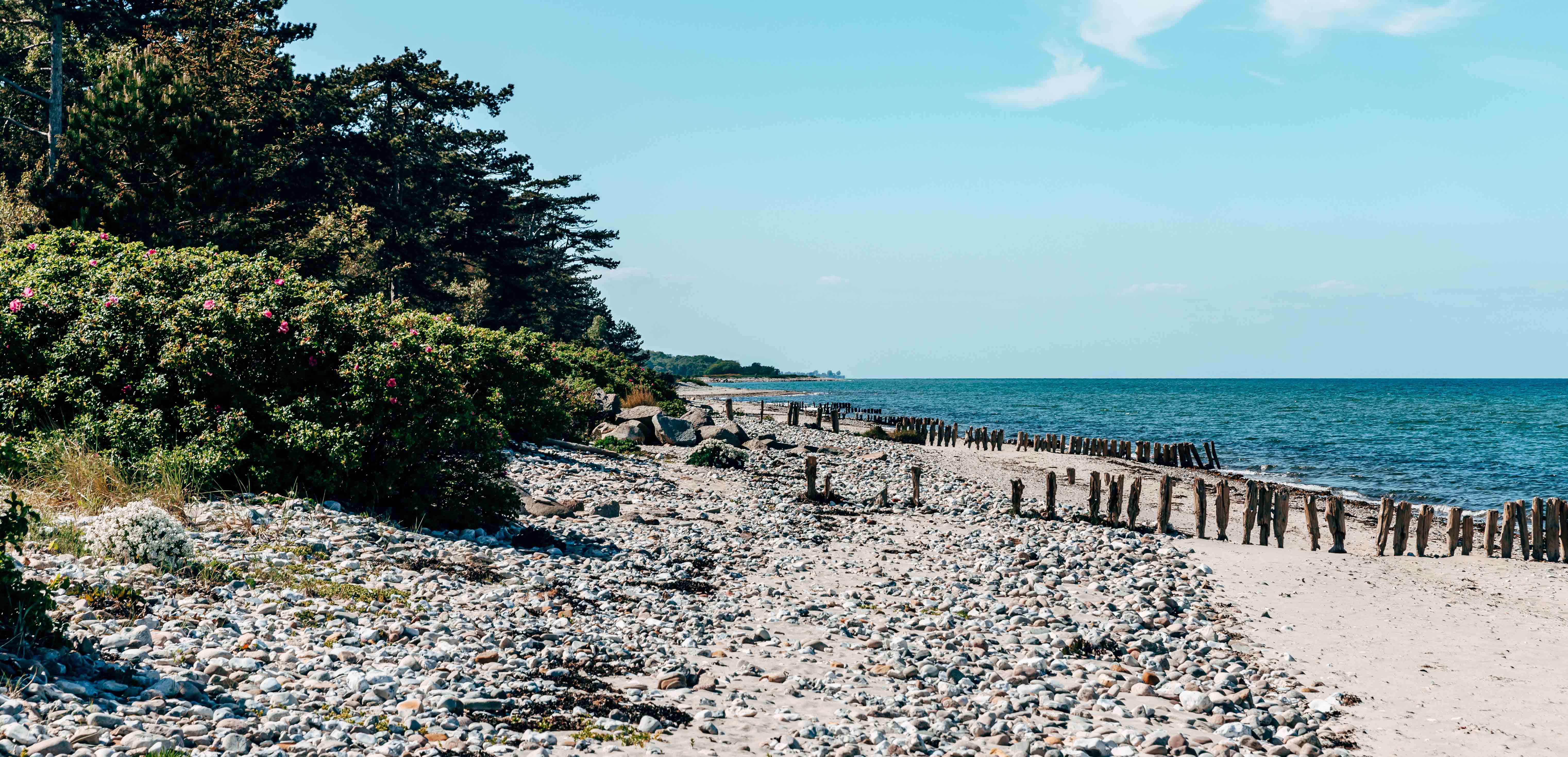 Enebærodde Strand Sommer Landzunge