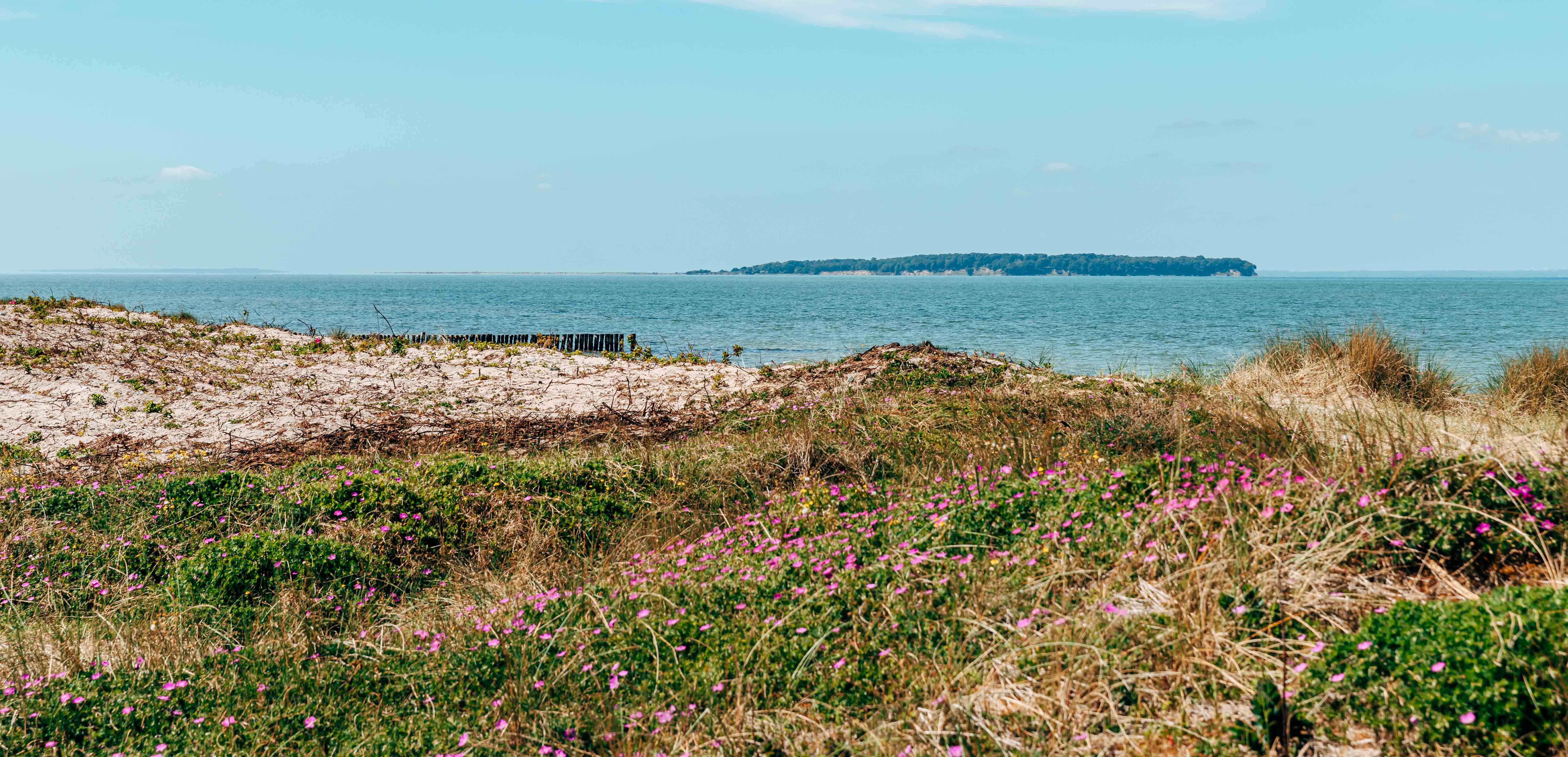 Flyvesandet Strand Sommer Aussicht