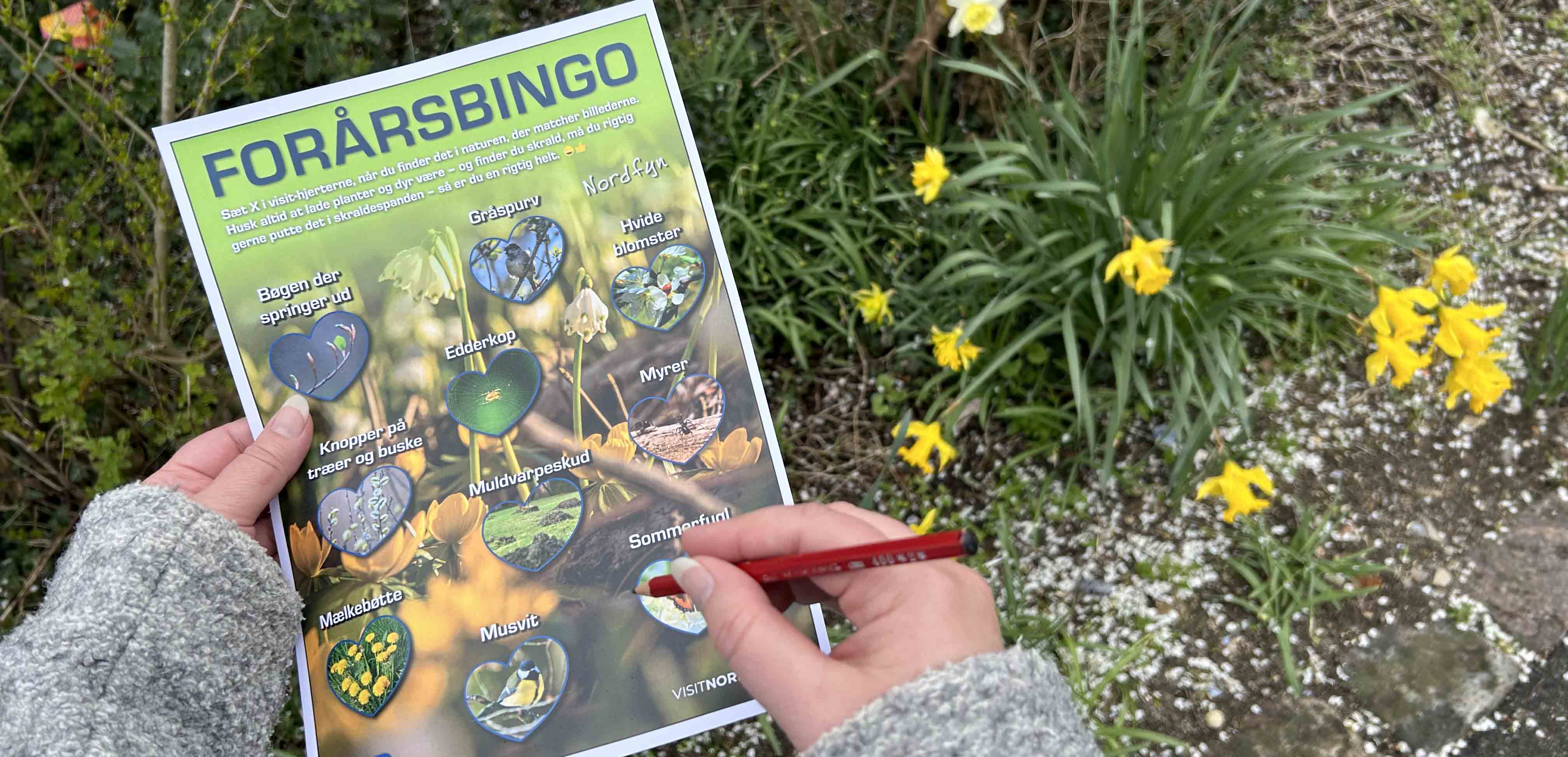 Frühlingbingo Naturbingo Forårsbingo