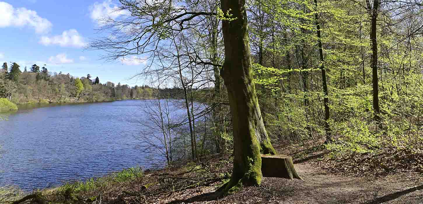Langesø udsigt over søen og træer i forår