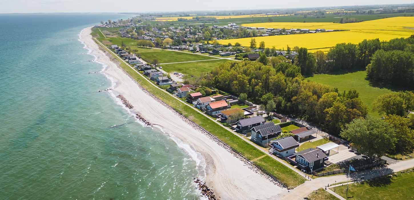 Rapsfeld bei Fuglsang Strand