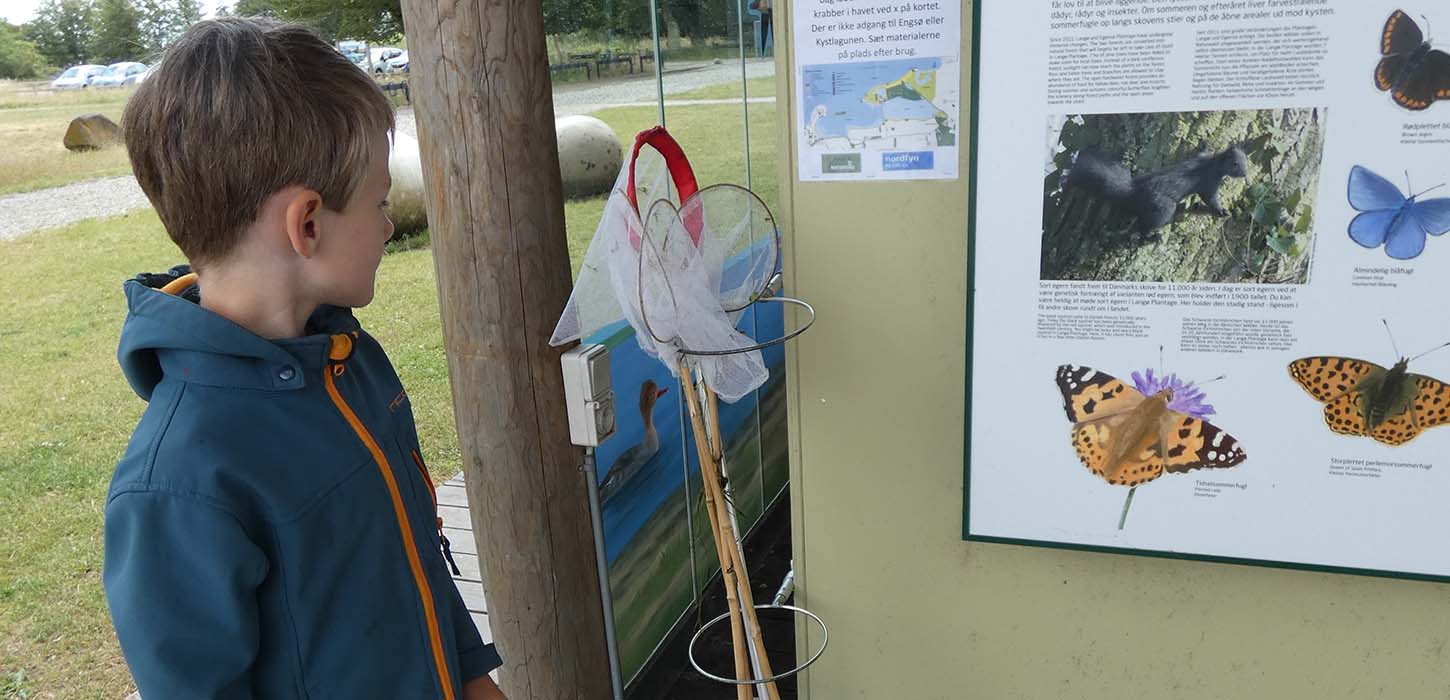 Junge mit Kescher am Naturraum bei Gyldensteen Strand