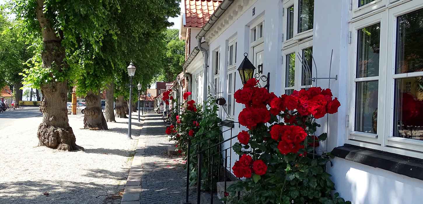 Torvet i Bogense med hyggelige gamle huse og flotte roser